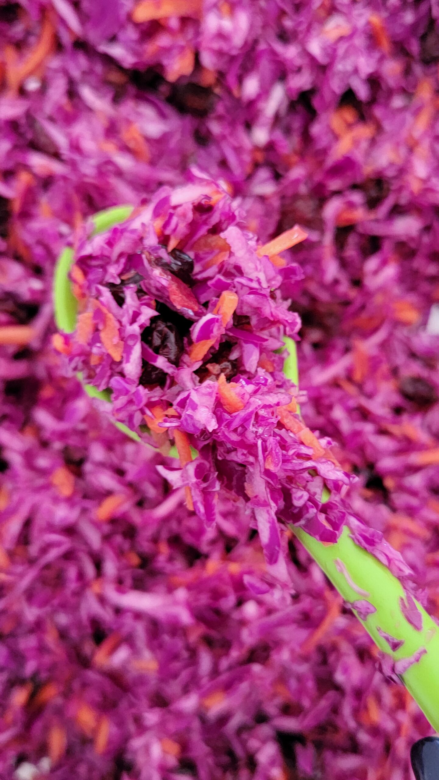 Purple Slaw with Carrots and Craisins closeup!