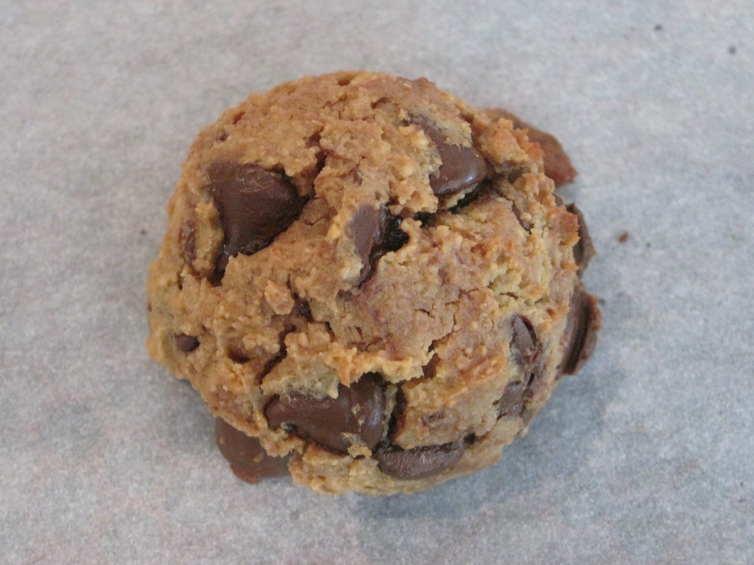 Plant Based Gluten Free Peanut Butter Chocolate Chip Chickpea Cookies