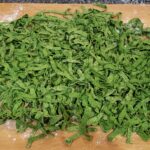 Fresh Gluten Free Spinach Pasta