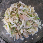 Cole Slaw with Shredded Chicken