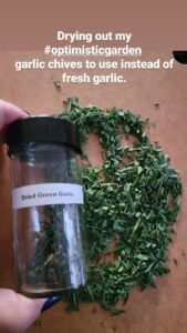 Dehydrated Green Garlic