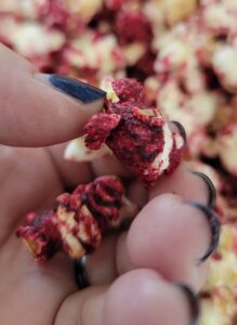 Gourmet Hibiscus Popcorn