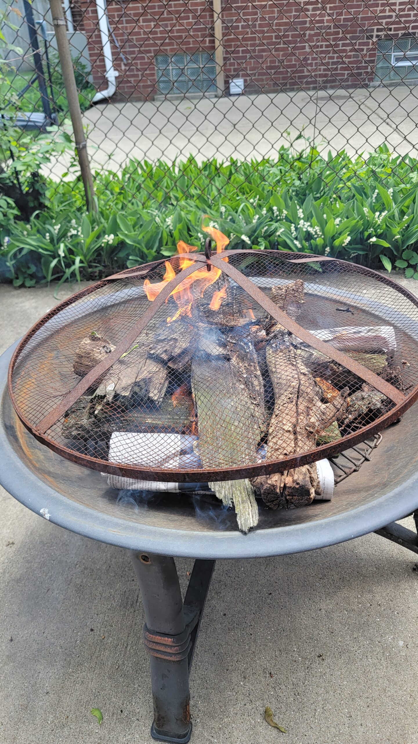 Building the fire pit fire