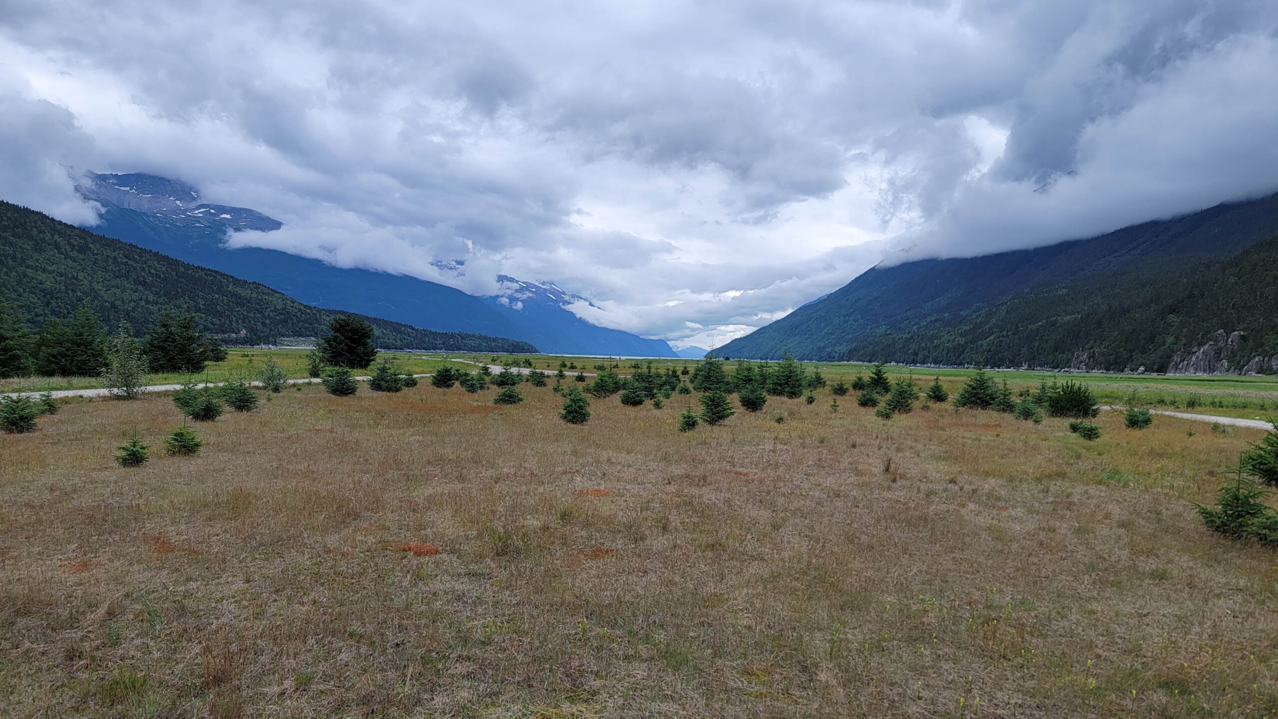 The view from my horse Extra in Skagway, Alasksa