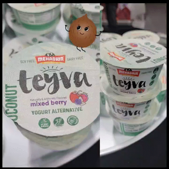 Mehadrin Teyva Plant Based Coconut Yogurt