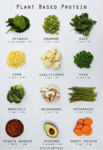 Protein Values of different vegetables