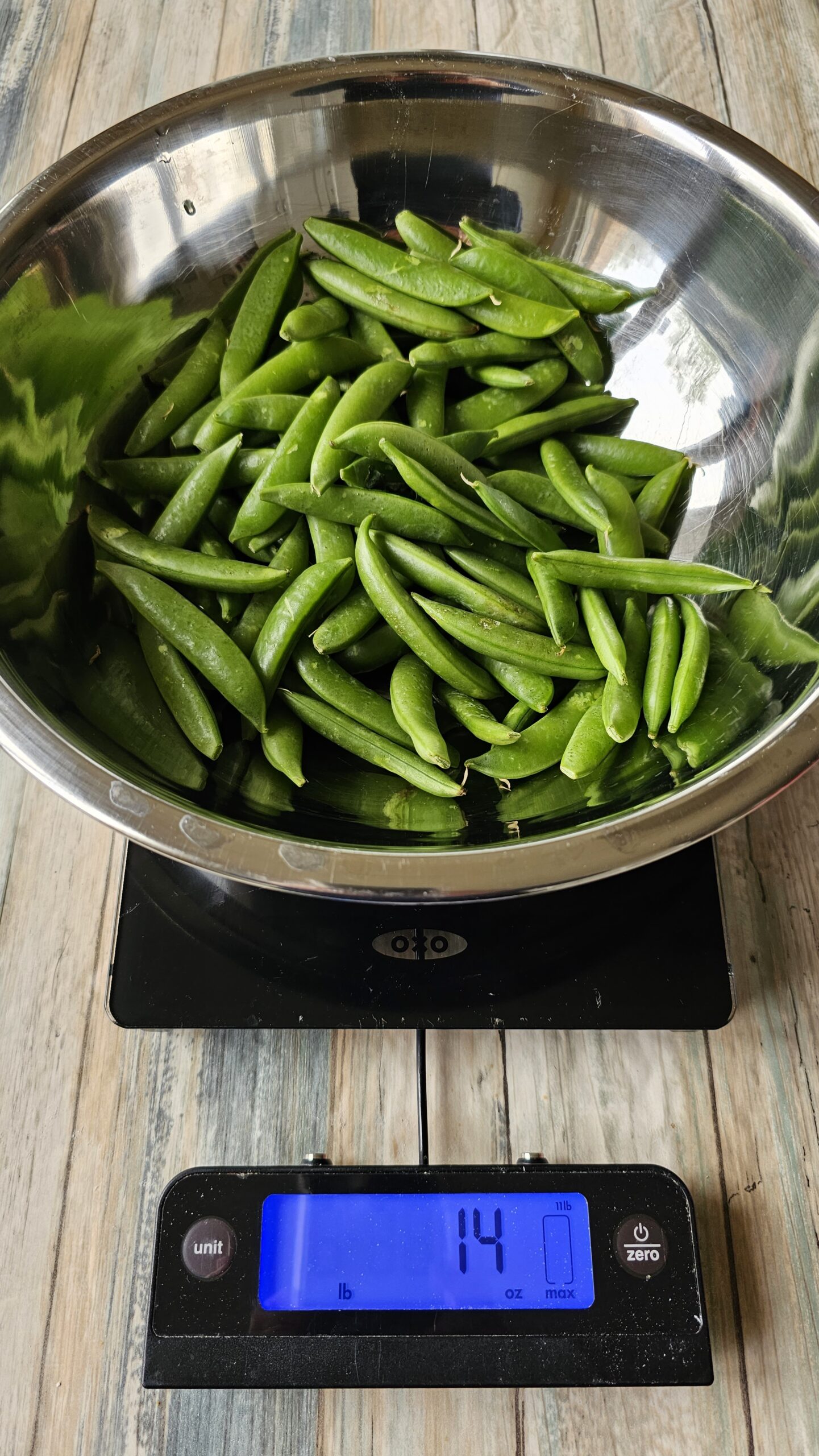 Weighing Sugar Snap Peas on an OXO scale
